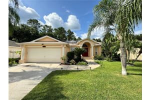 23821 POW WOW DRIVE, LUTZ, FL 33559 - MLS#MFRTB8432557