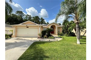 23821 POW WOW DRIVE, LUTZ, FL 33559 - MLS#MFRTB8432557