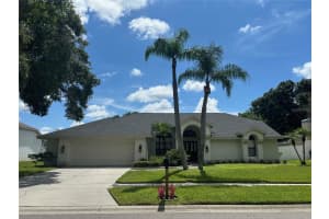 17311 HIALEAH DRIVE, ODESSA, FL 33556 - MLS#MFRTB8432559