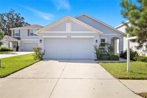 36534 NIGHT STRAWBERRY CT, DADE CITY, FL 33525 - MLS#MFRTB8432581