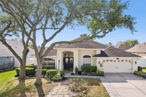 18103 Latimer Ln, TAMPA