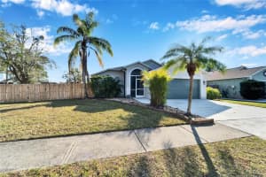 11225 SCOTCHWOOD DRIVE, RIVERVIEW, FL 33579 - MLS#MFRTB8432619