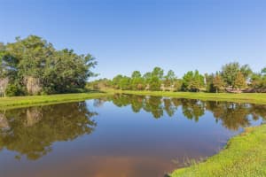 3699 FRONT PARK DRIVE, WESLEY CHAPEL, FL 33543 - MLS#MFRTB8432640