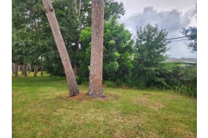 1143 85TH TERRACE, ST PETERSBURG, FL 33702 - MLS#MFRTB8432655