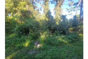 NAPER ST, NEW PORT RICHEY, FL 34655 - MLS#MFRTB8432709