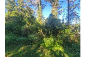 NAPER ST, NEW PORT RICHEY, FL 34655 - MLS#MFRTB8432709