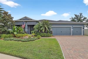 11321 LAKE LUCAYA DRIVE, RIVERVIEW, FL 33579 - MLS#MFRTB8432731