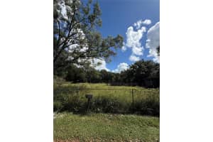 11158 GALAXY LANE, THONOTOSASSA, FL 33592 - MLS#MFRTB8432767