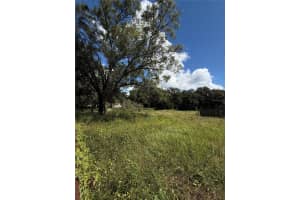 11158 GALAXY LANE, THONOTOSASSA, FL 33592 - MLS#MFRTB8432767