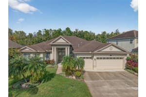 16032 IVY LAKE DRIVE, ODESSA, FL 33556 - MLS#MFRTB8432798
