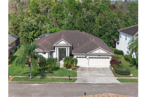 16032 IVY LAKE DRIVE, ODESSA, FL 33556 - MLS#MFRTB8432798