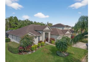 16032 IVY LAKE DRIVE, ODESSA, FL 33556 - MLS#MFRTB8432798
