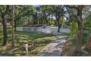 6009 THERESA ST, TAMPA, FL 33615 - MLS#MFRTB8432803