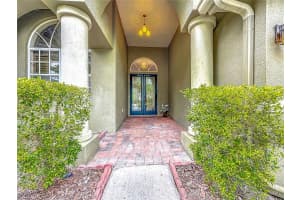 20626 LONGLEAF PINE AVENUE, TAMPA, FL 33647 - MLS#MFRTB8432807