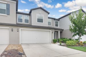 10308 LAVENDER ASTER TRAIL, SAN ANTONIO, FL 33576 - MLS#MFRTB8432811