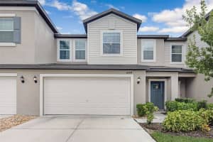 10308 LAVENDER ASTER TRAIL, SAN ANTONIO, FL 33576 - MLS#MFRTB8432811