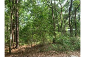 0 226TH STREET, FORT MC COY, FL 32134 - MLS#MFRTB8432815