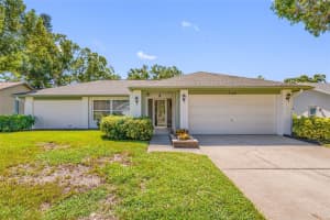 3146 E Dorchester Dr, PALM HARBOR