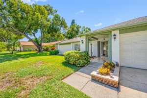 3146 DORCHESTER DRIVE, PALM HARBOR, FL 34684 - MLS#MFRTB8432881