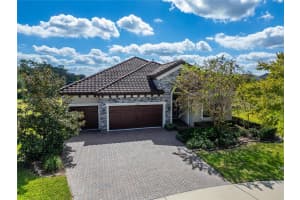 12514 WILD BERRY TRAIL, ODESSA, FL 33556 - MLS#MFRTB8432891