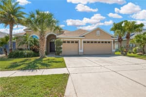 1833 Mira Lago Cir, RUSKIN