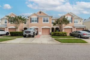 26535 Castleview Way, WESLEY CHAPEL