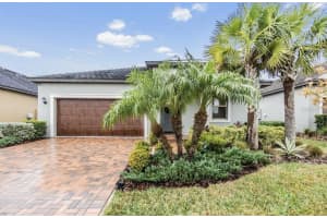 31703 Cabana Rye Ave, SAN ANTONIO