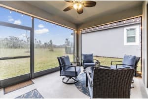 31703 CABANA RYE AVENUE, SAN ANTONIO, FL 33576 - MLS#MFRTB8432919