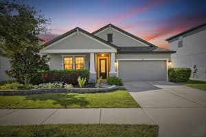 11239 Paddock Manor Ave, RIVERVIEW