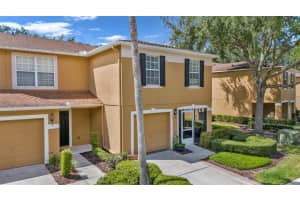 4349 SILVER FALLS DRIVE, LAND O LAKES, FL 34639 - MLS#MFRTB8432956