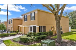 4349 SILVER FALLS DRIVE, LAND O LAKES, FL 34639 - MLS#MFRTB8432956