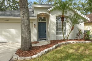 4507 HIDDEN SHADOW DRIVE, TAMPA, FL 33614 - MLS#MFRTB8432964