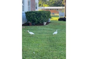 7941 58TH AVENUE, ST PETERSBURG, FL 33709 - MLS#MFRTB8432970