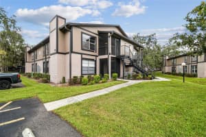 4013 DREAM OAK PLACE, TAMPA, FL 33613 - MLS#MFRTB8433001