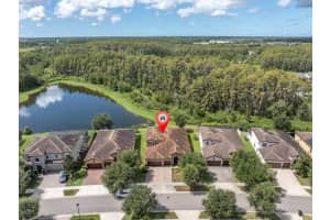 12718 BURNS DRIVE, ODESSA, FL 33556 - MLS#MFRTB8433039