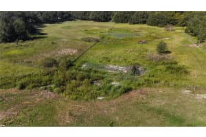 12510 ROBINHOOD ROAD, HUDSON, FL 34669 - MLS#MFRTB8433042