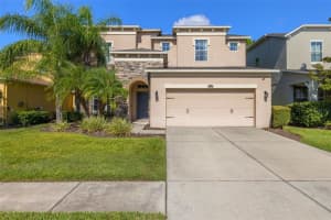 4407 SCARLET LOOP, WESLEY CHAPEL, FL 33544 - MLS#MFRTB8433043
