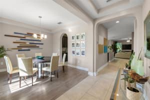 4407 SCARLET LOOP, WESLEY CHAPEL, FL 33544 - MLS#MFRTB8433043