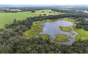 0 19-24-21-0000-00600-0010, DADE CITY, FL 33526 - MLS#MFRTB8433047