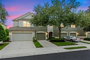 10131 Haverhill Ridge Dr #10131, RIVERVIEW
