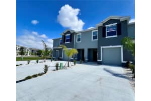 133 Mangrove Shade Cir, APOLLO BEACH