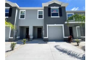 133 MANGROVE SHADE CIRCLE, APOLLO BEACH, FL 33572 - MLS#MFRTB8433081
