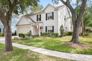 17736 Long Ridge Rd, TAMPA