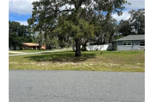 11375 CORRIGAN STREET, SPRING HILL, FL 34609 - MLS#MFRTB8433117