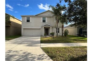 10013 CRESTED FRINGE DRIVE, RIVERVIEW, FL 33578 - MLS#MFRTB8433139