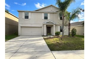 10013 CRESTED FRINGE DRIVE, RIVERVIEW, FL 33578 - MLS#MFRTB8433139