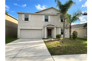 10013 CRESTED FRINGE DRIVE, RIVERVIEW, FL 33578 - MLS#MFRTB8433139