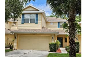 20225 Vintage Oaks Pl, TAMPA