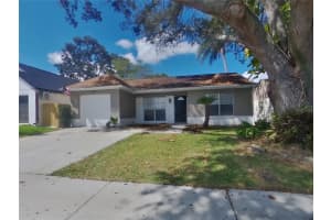 MLS# MFRTB8433153, Valrico, Florida 33594