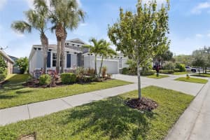 6313 SUNSAIL PLACE, APOLLO BEACH, FL 33572 - MLS#MFRTB8433163